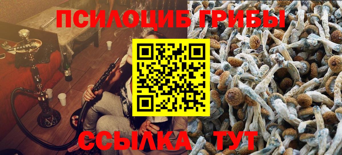 Котовск  Псилоцибиновые грибы MAGIC MUSHROOMS  Псилоцибиновые грибы Psilocybe  Вход с VPN 