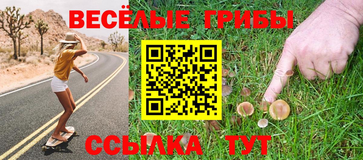 Галлюциногенные грибы ЛСД Котовск